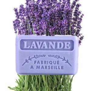 SAVONNETTE MARSEILLAISE